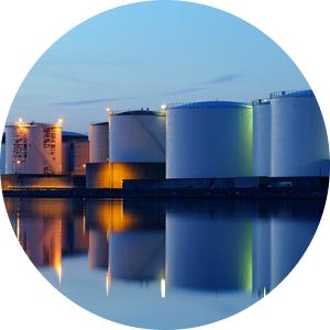 Diverse Product Portfolio